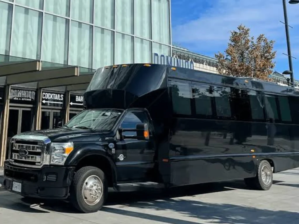 Ford Super Duty F-250 XLT exterior